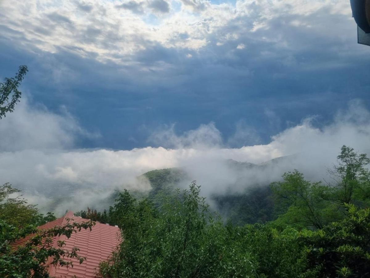 Zurabashvili Guest House Sighnaghi Exterior photo