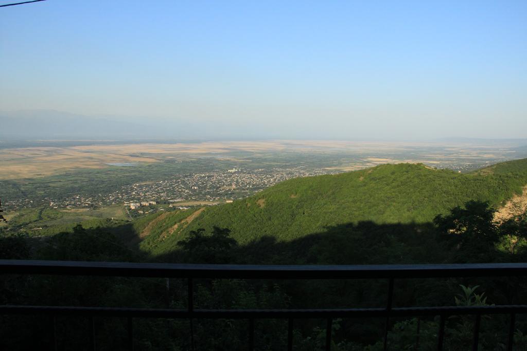 Zurabashvili Guest House Sighnaghi Exterior photo